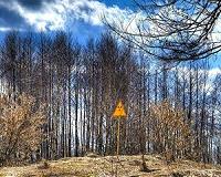 Forest fire intensifies in Chernobyl nuclear zone
