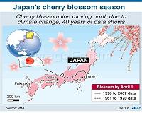 Japan counts down to cherry blossom fever