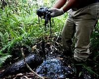 Ecuador looks for investors for newly opened oil, gas territories