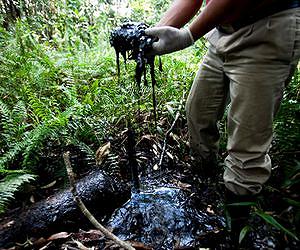 Chevron wins partial victory in Ecuador pollution case