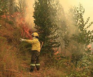 New fire outbreak kills one in Chile