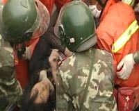 China has only identified 19,000 victims of earthquake: official