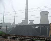 Higher Levels Of Pollutants Found In Fish Caught Near A Coal-Fired Power Plant