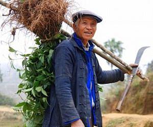 China farmers build wall of cash with $2.2 mn payout: report