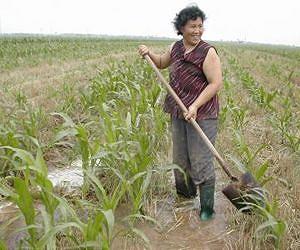 Loss of biodiversity increasingly threatens human well-being