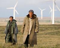 China considering energy storage mandate for wind