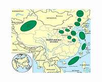 China's oil demand growing, but at a slower pace