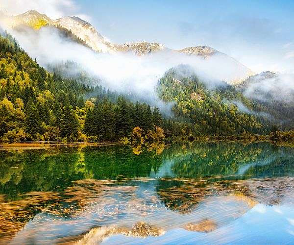 Vegetation Gradually Recovering in Quake-hit Jiuzhaigou