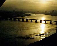 Major River Pollution Confirmed In NE China