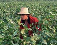 China's communists approve key land reforms