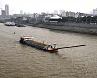 Toxin Level In Chinese River Still Unsafe