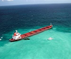 Great Barrier Reef heading for danger: UNESCO