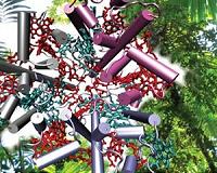 A clear look at an efficient energy converter