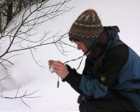 Do fish survive in streams in winter
