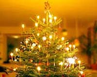 Danish Christmas Tree Shortage Threatens Prices Across Europe