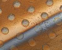 Graphene, jute fibers combine to create strong, sustainable building material