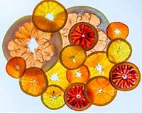 Retracing early cultivation steps: Lessons from comparing citrus genomes