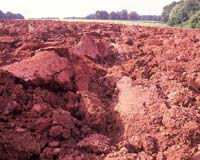 Common Clays Investigated For Use As High Tech Environmental Catalysts