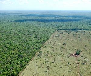 Brazil urged to stop invading indigenous lands