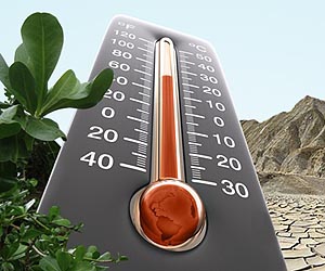 Ecologists gain insight into the likely consequences of global warming
