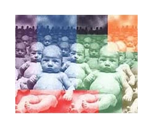 Bilingual babies get good at grammar