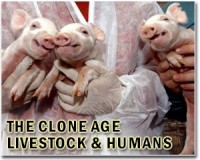 Gene-edited babies and cloned monkeys: China tests bioethics