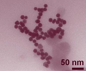 New technique lets scientists peer within nanoparticles