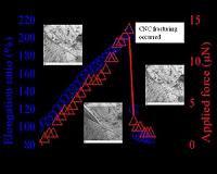 Monitoring the deformation of carbon nanocoils under axial loading