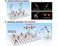 New concept of fuel cell for efficiency and environment