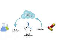 CO2, the philosopher's stone to obtain valuable pharmaceuticals