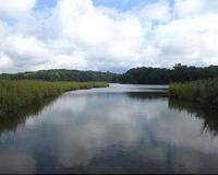 Field widens for environments, microbes that produce toxic form of mercury