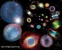 Unusual molecular and isotopic content of planetary nebulae