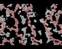 FAU researchers show how gels develop their solid properties