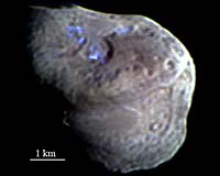 Deep Impact Team Reports First Evidence Of Cometary Ice