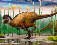 Feathered dinosaurs were extra fluffy, new research shows