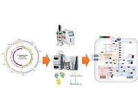 Unveiling the distinctive features of a promising industrial microorganism