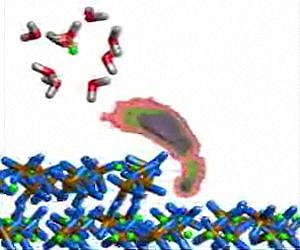 Metadynamics technique offers insight into mineral growth and dissolution