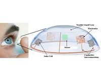 Fish and insects guide design for future contact lenses