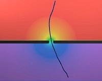 A virus reveals the physics of nanopores