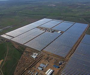 Solar power development in US Southwest could threaten wildlife