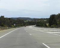 Plant hedges help curb roadside pollution