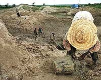 US law has helped limit 'conflict minerals': study