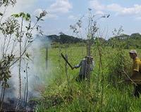 Peru creates huge national park in Amazon basin