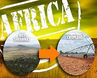 Cropping Africa's wet savannas would bring high environmental costs