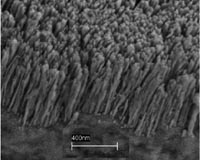 No Small Measure: Origins Of Nanorod Diameter Discovered