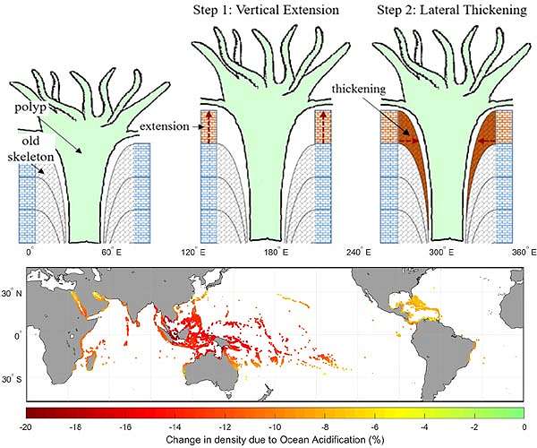 Satellites highlight a 30-year rise in ocean acidification