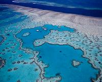 How will ocean acidification impact marine life?