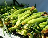 Food waste could store solar and wind energy