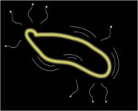 Physicists Find Way To See Extra Dimensions
