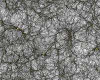 The largest virtual Universe ever simulated